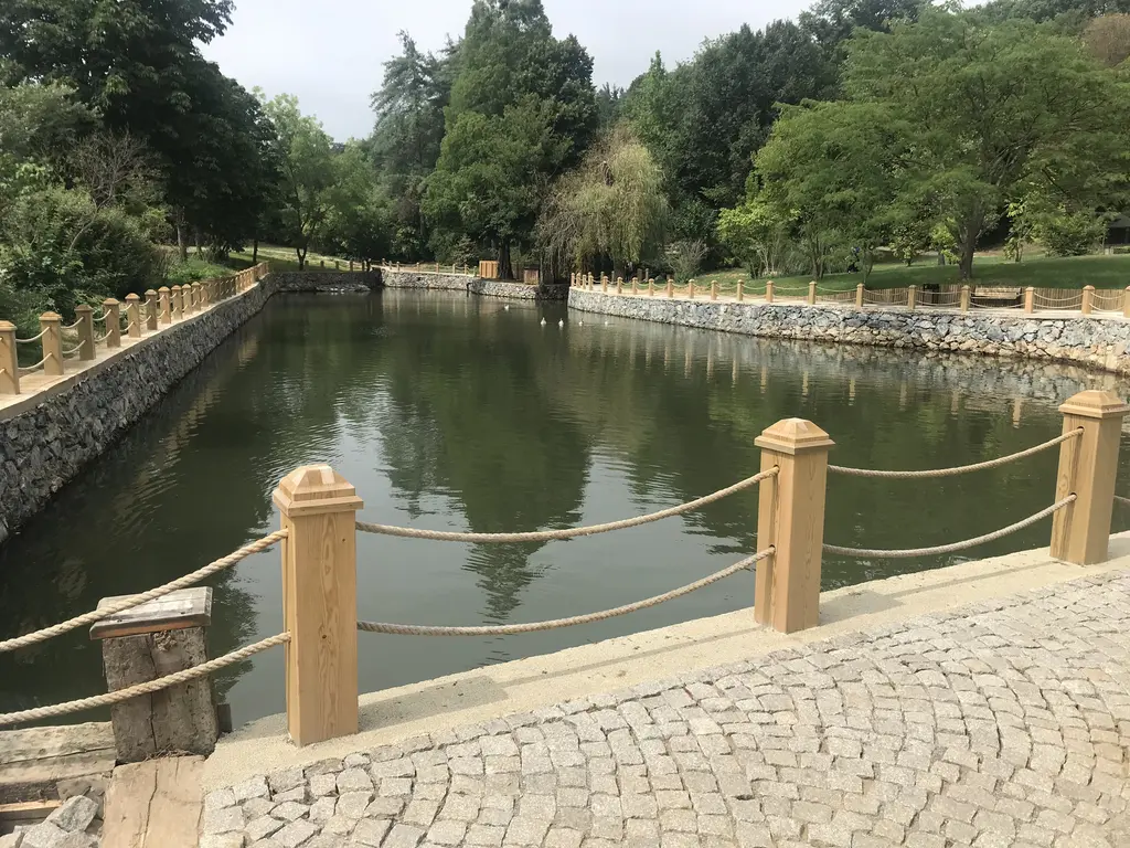 Atatürk Arboretumu'nda ortadaki gölet; durgun su, kıyıda sazlar ve arkada ağaçlarla kaplı tepe.