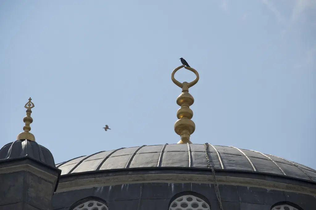 Yeni Valide Camii'nin kubbesi; kurşun kaplı kubbe, yaldızlı alemler, mavi gökyüzü ve uçan bir kuş.