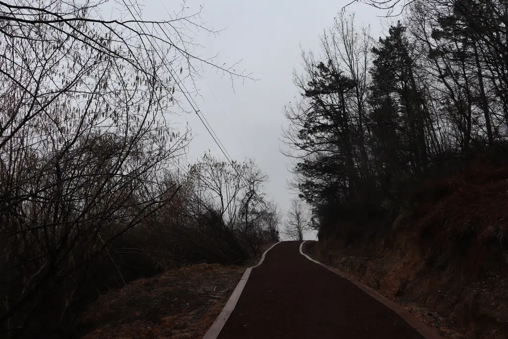 Polonezköy'de bulutlu bir günde iki yanı ağaçlı yamaçlarla çevrili, beyaz kenar çizgili kaplamalı yol.