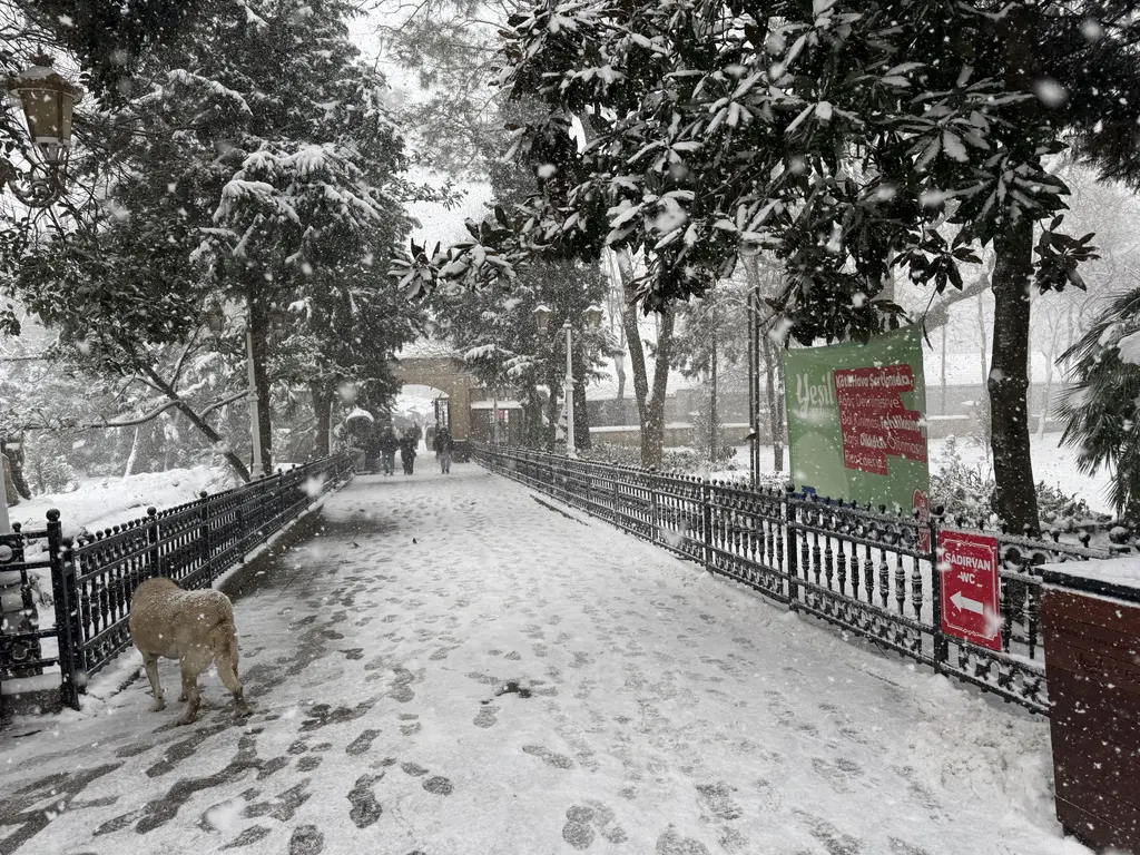 Yuşa Tepesi'nde kış; karla kaplı yol, demir parmaklık, ağaçlar ve yürüyen bir köpek.