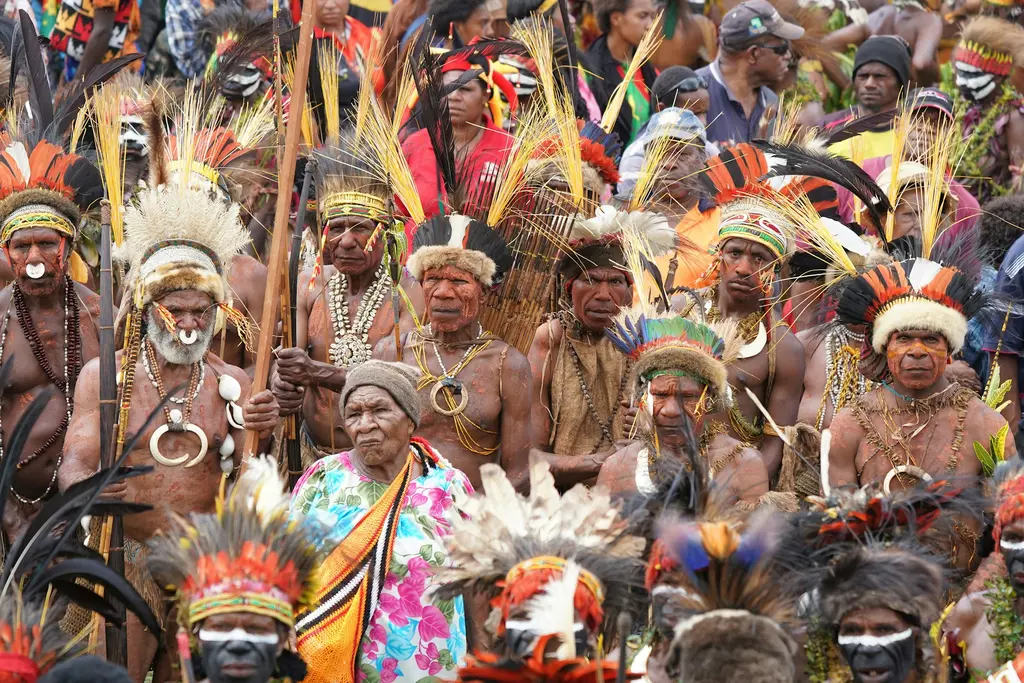 Papua Yeni Gine'de kalabalık bir kültür festivali; rengârenk tüylü başlıklar, boyalı yüzler ve geleneksel takılarla toplanmış yüzlerce kişi.