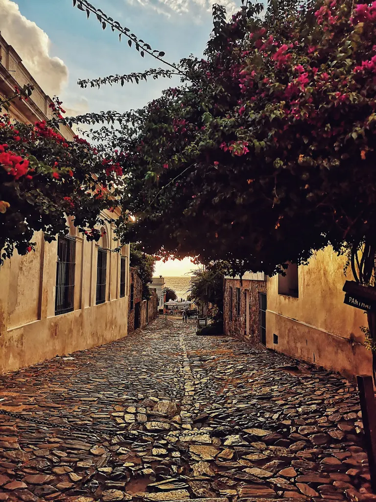 Uruguay'da Colonia del Sacramento'nun tarihî arnavut kaldırımlı sokağı; iki yanda begonvil sarmış sömürge evleri ve dip planda gün batımında denize açılan manzara.