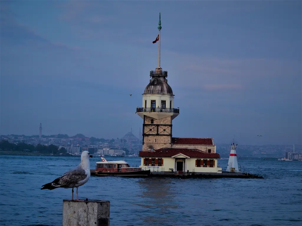 Kız Kulesi ve martı; öndeki direğe konmuş martı, arkada kule ve kırmızı çatılı yapılar, mavi gökyüzü.