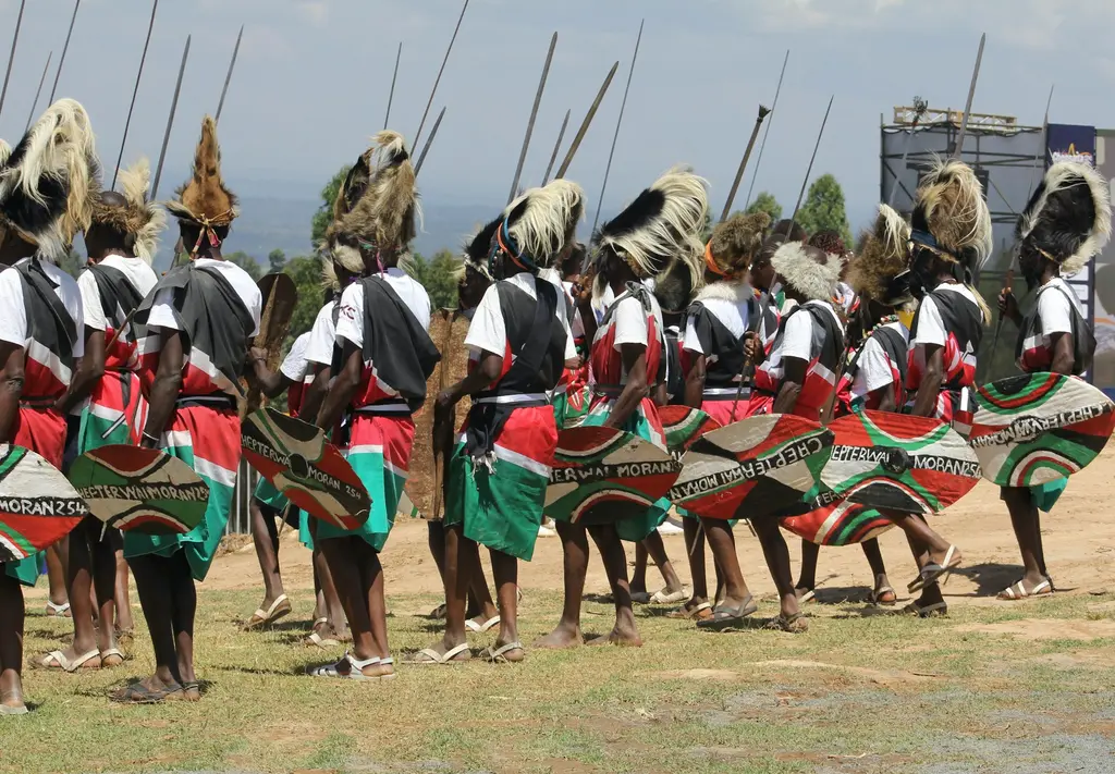 Kenya'da geleneksel kıyafetleriyle sıraya dizilmiş savaşçılar; ellerinde Kenya bayrağı renklerine boyanmış kalkanlar, uzun mızraklar ve kürklü başlıklar.