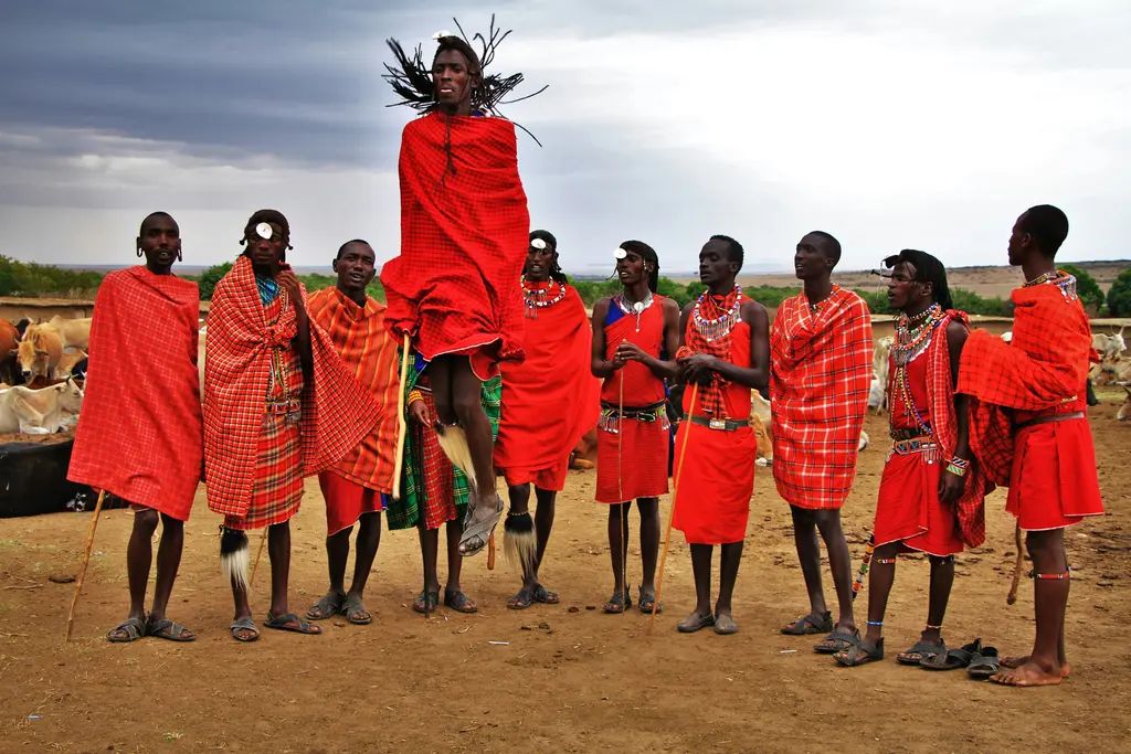 Kırmızı örtülü Maasai savaşçıları; geleneksel "shuka" kumaşları ve boncuk takılarıyla savanada duruyor.