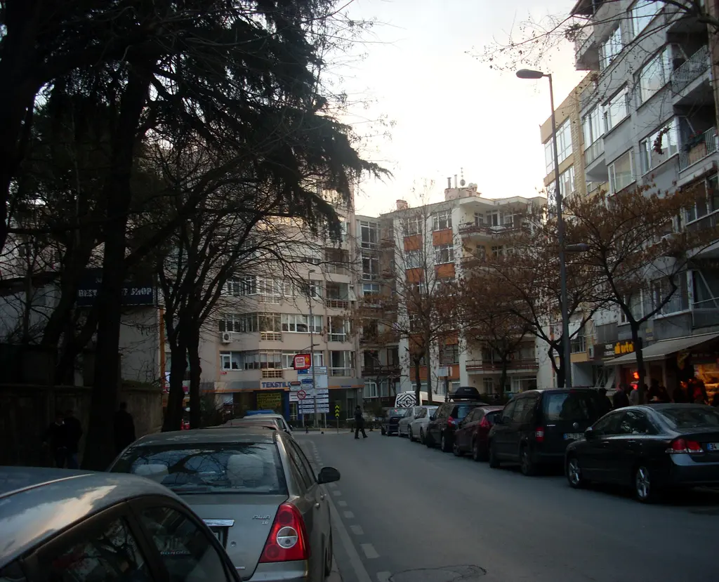Moda'da bir iç sokak; iki yanda apartmanlar, park edilmiş arabalar, ağaçlar ve uzakta yürüyen insanlar.