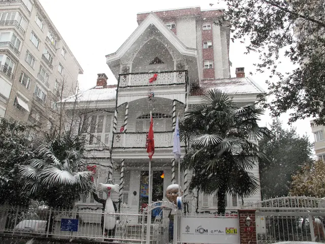 İstanbul Oyuncak Müzesi'nin binası; karla kaplı beyaz ahşap köşk, bahçede palmiyeler, bayraklar ve süslü giriş kapısı.