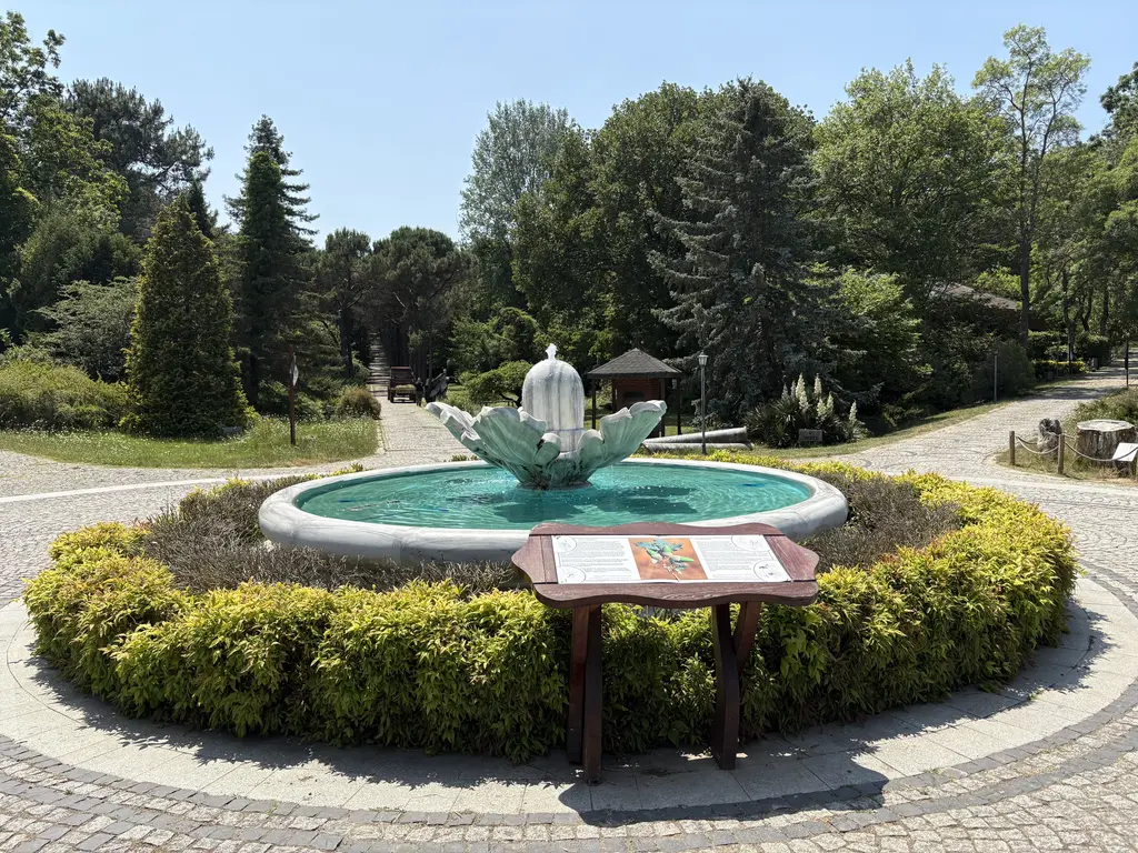 Atatürk Arboretumu'nda fıskiyeli meydan; ortada çiçek biçimli havuz, çevresinde budanmış çalılar ve bilgi panosu.