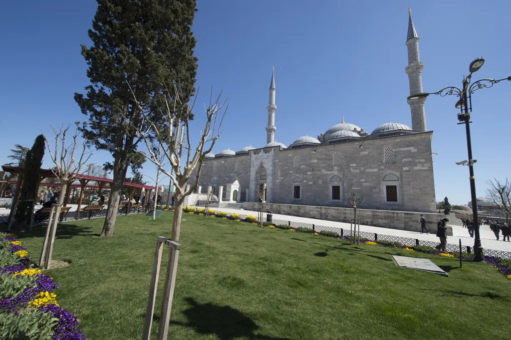 Fatih'te Fatih Parkı'nın çimeninden cami; yeşil yamaç, mor ve sarı çiçek tarhları, yapraksız çınarlarla serviler ve arkada caminin kubbeleri ile iki minaresi.