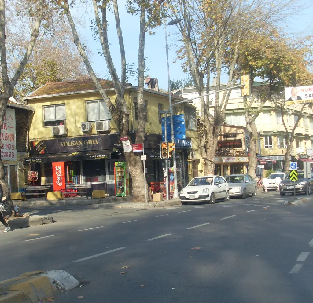 Yeniköy'de Köybaşı Caddesi; çınar ağaçları, köşede sarı cepheli bina, market ve park etmiş arabalar.