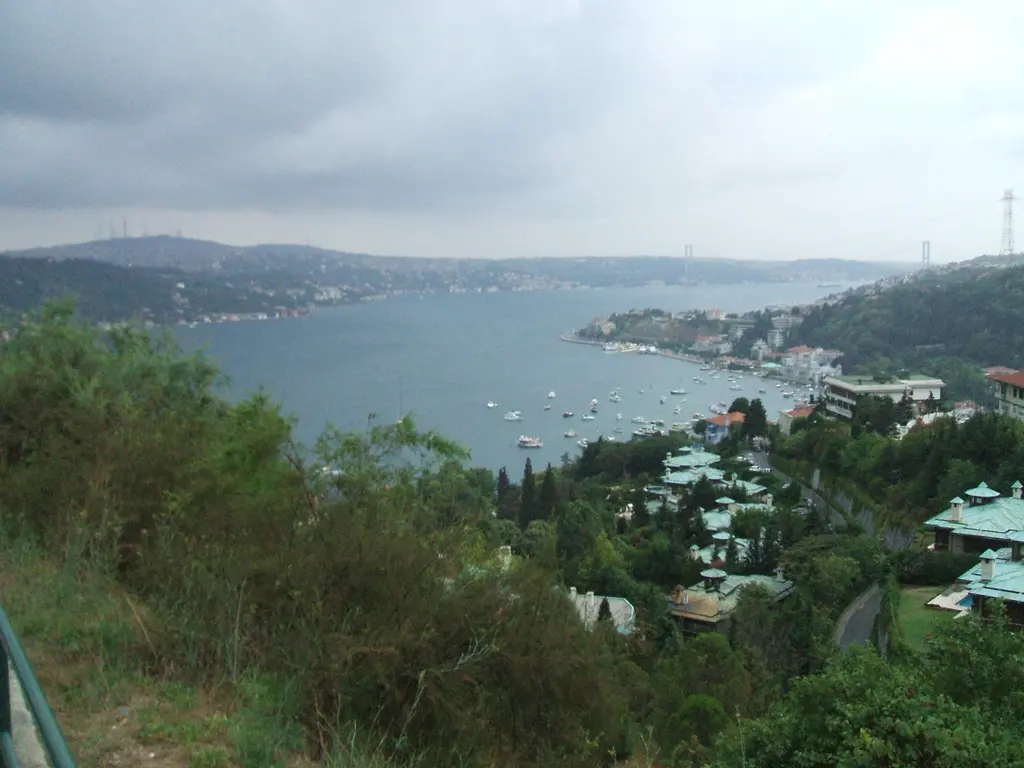 Bebek'te sırtlardan koy; önde ağaçlık yamaç, aşağıda demirli tekneler, kıyıda evler ve uzakta Boğaz.