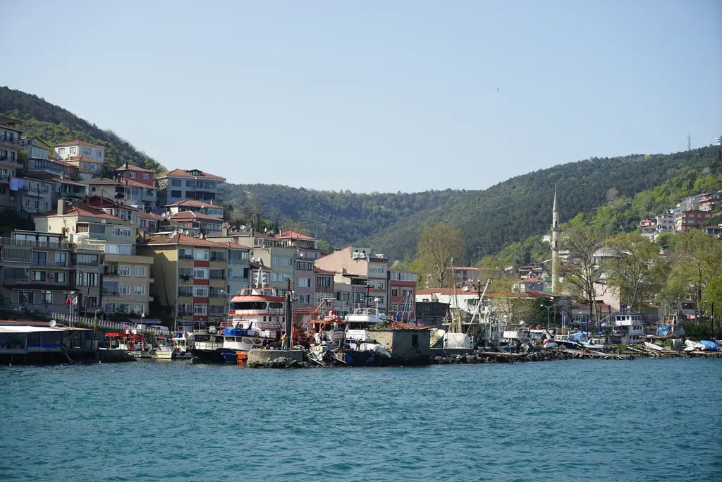 Denizden Rumelikavağı; kıyı boyunca evler, balıkçı tekneleri, beyaz restoran binası ve ormanlık tepede minare.