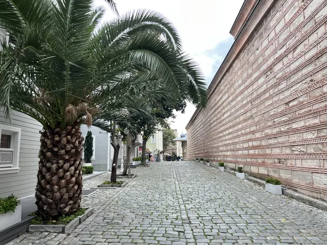 Sultanahmet'te Soğukçeşme Sokağı; solda palmiyeler ve ahşap evler, sağda uzanan uzun tuğla duvar, ortada taş döşeli yol.