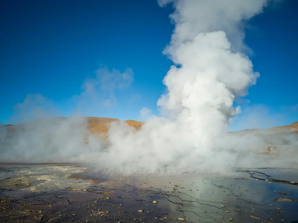 El Tatio'da bir geyzer; mineral kabuklu havzadan yükselen uzun beyaz buhar sütunu ve koyu mavi gökyüzü.