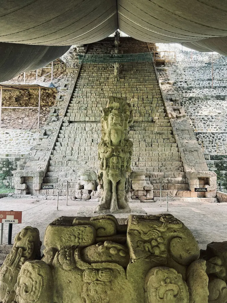 Honduras'ta Copán Maya kalıntılarında koruyucu bir örtü altındaki oyma taş stel ve basamaklı piramit; yosun tutmuş kabartmalar ve önde işlenmiş taş bloklar.