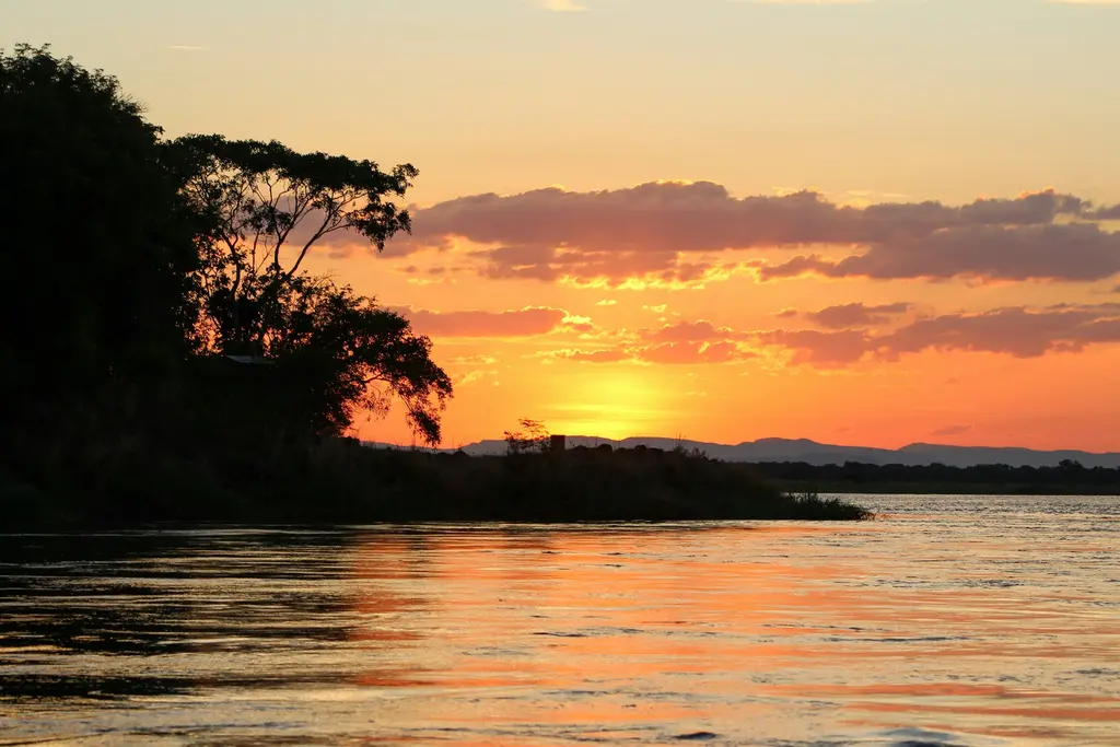 Zambiya'da Zambezi Nehri üzerinde gün batımı; turuncu gökyüzü, silüet halindeki ağaçlar ve suya yansıyan altın ışık.