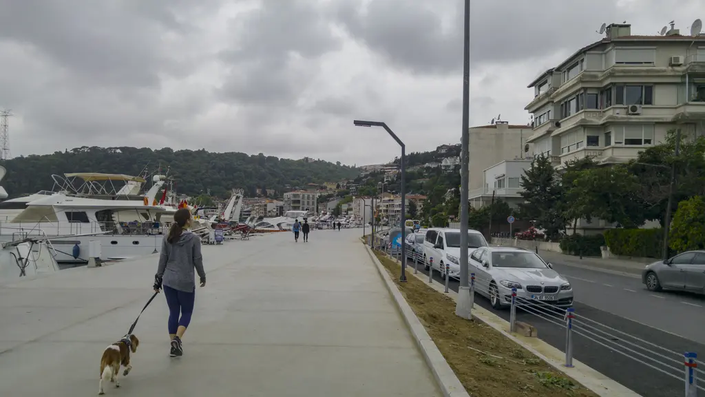 Bebek'te sahil yürüyüş yolu; geniş kaldırımda köpeğiyle yürüyen kadın, sağda araç yolu ve arkada tekneler.