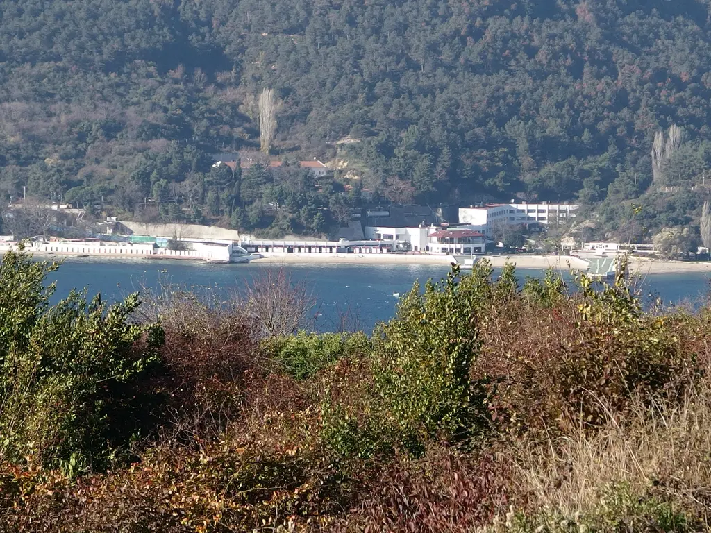 Anadolu Kavağı'ndan karşı kıyı; önde çalılar, ortada Boğaz suyu, karşıda kıyı yolu, beyaz binalar ve ormanlık tepe.