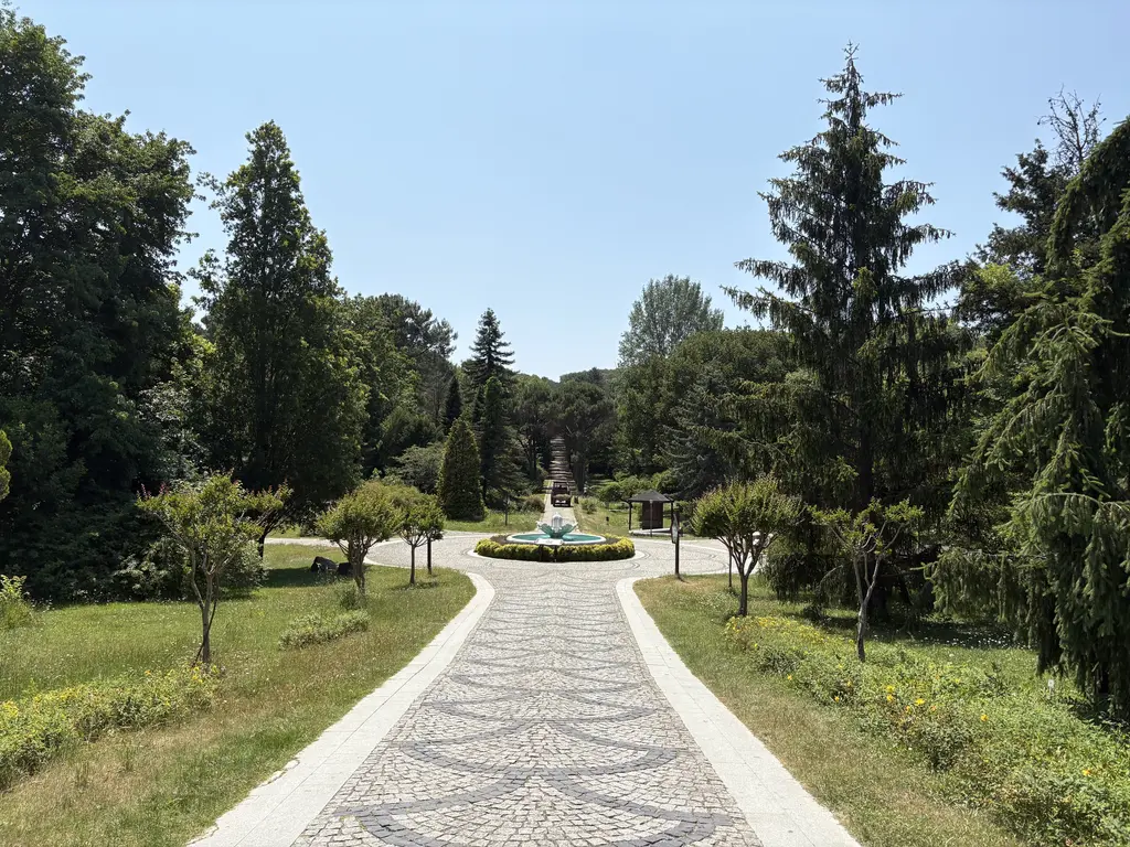 Atatürk Arboretumu'nda taş döşeli yol; iki yanda çimenlik ve uzun iğne yapraklı ağaçlar, sonda fıskiye.