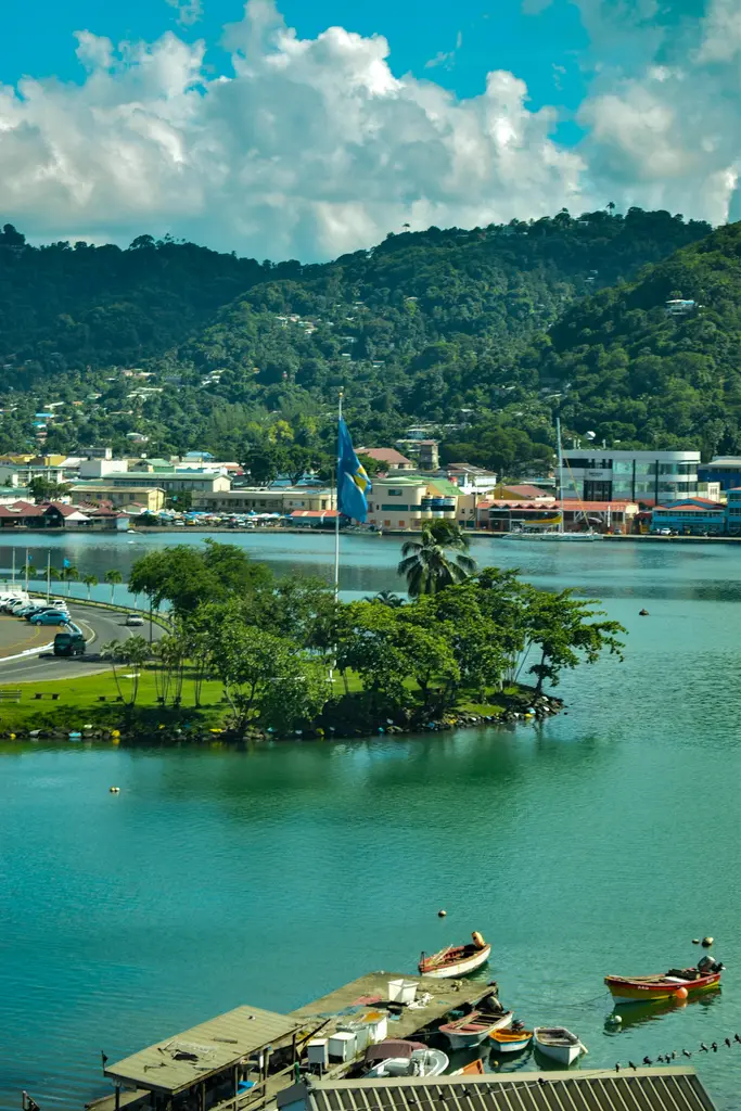 Guyana kıyı ovasında uçsuz bucaksız yeşil otlaklar; ufukta alçak ağaç sırası ve gökyüzünü dolduran devasa beyaz kümülüs bulutları.