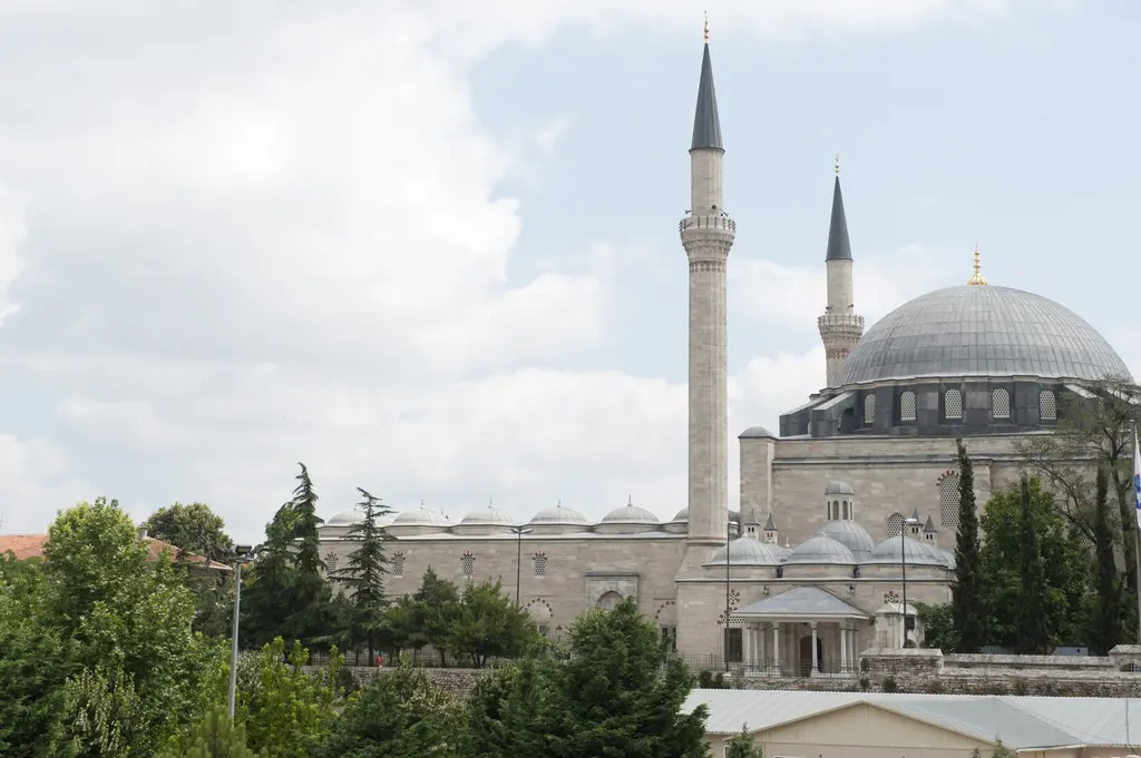 Yavuz Sultan Selim Camii'ne güneybatıdan bakış; basık kurşun kubbe, birer şerefeli iki ince minare, uzun kanat boyunca sıralanan küçük kubbeler ve önde ağaçlar.