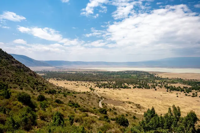 Ngorongoro Krateri; çökmüş volkanik kalderanın yeşil tabanı, gölü ve çevreleyen yüksek duvarları.