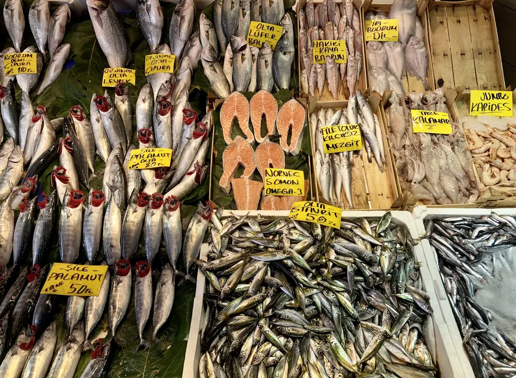 Karaköy balık pazarında tezgâh; kasalarda dizili balıklar, somon dilimleri ve sarı fiyat etiketleri.