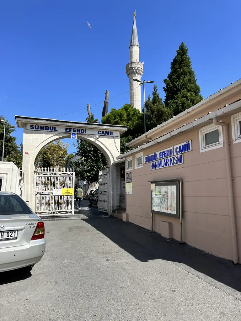 Koca Mustafa Paşa Külliyesi'ne caddeden bakış; üstünde caminin adı yazan beyaz kemer, arkasında yükselen minare ile koyu yeşil serviler, sağda pembe boyalı külliye binası.