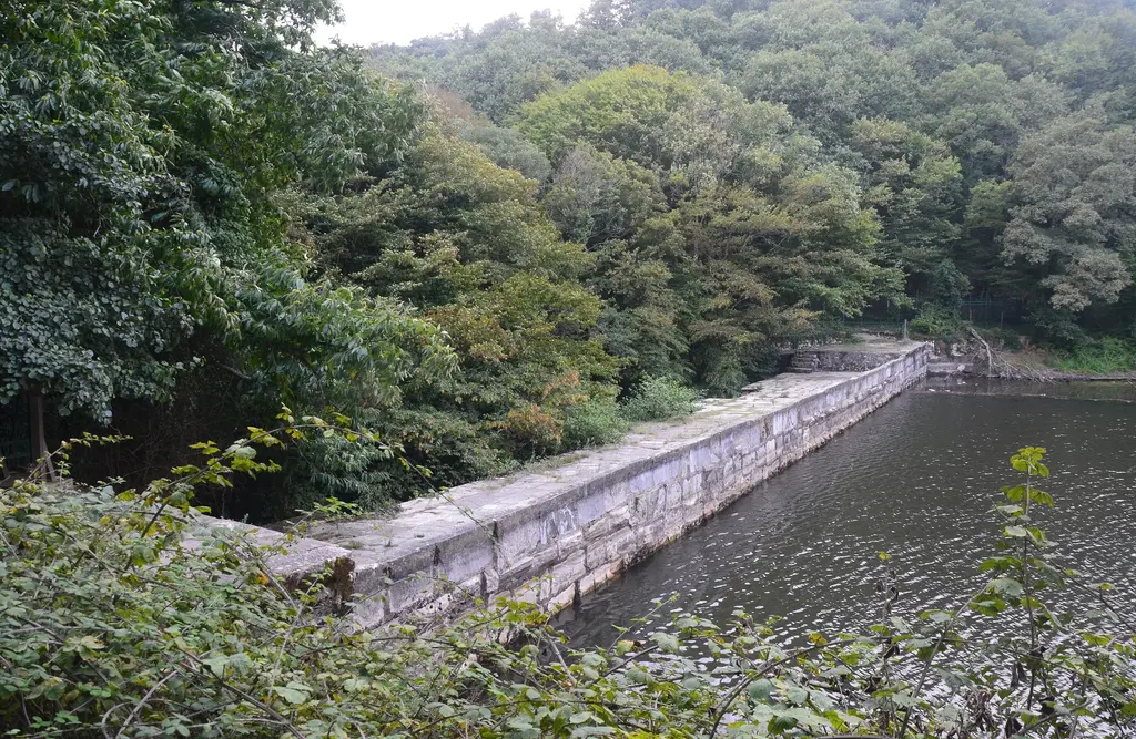 Belgrad Ormanı'nda Kömürcübent Tabiat Parkı; yosunlu taş bent gövdesi, önünde durgun su ve sık yeşil ağaçlar.