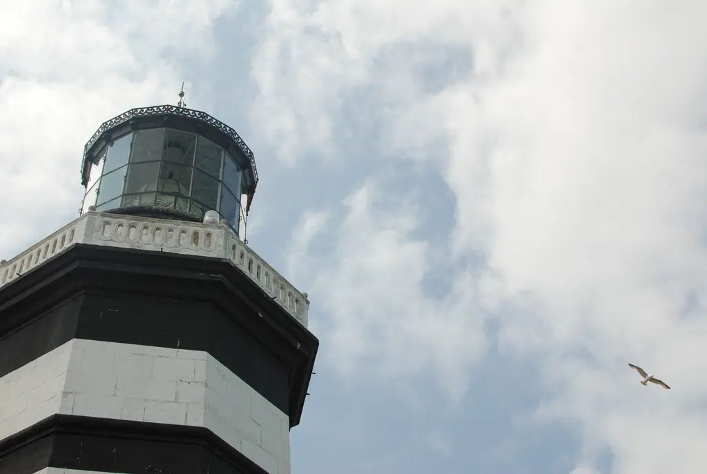 Şile Feneri; siyah-beyaz bantlı taş kulenin tepesinde camlı fener odası, bulutlu gökyüzü ve uçan bir martı.