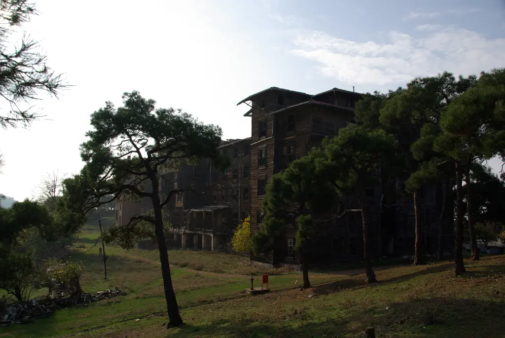 Büyükada Rum Yetimhanesi; mavi gökyüzü altında gri ahşap cephe, önde çam ağaçları ve yeşil çimenlik.