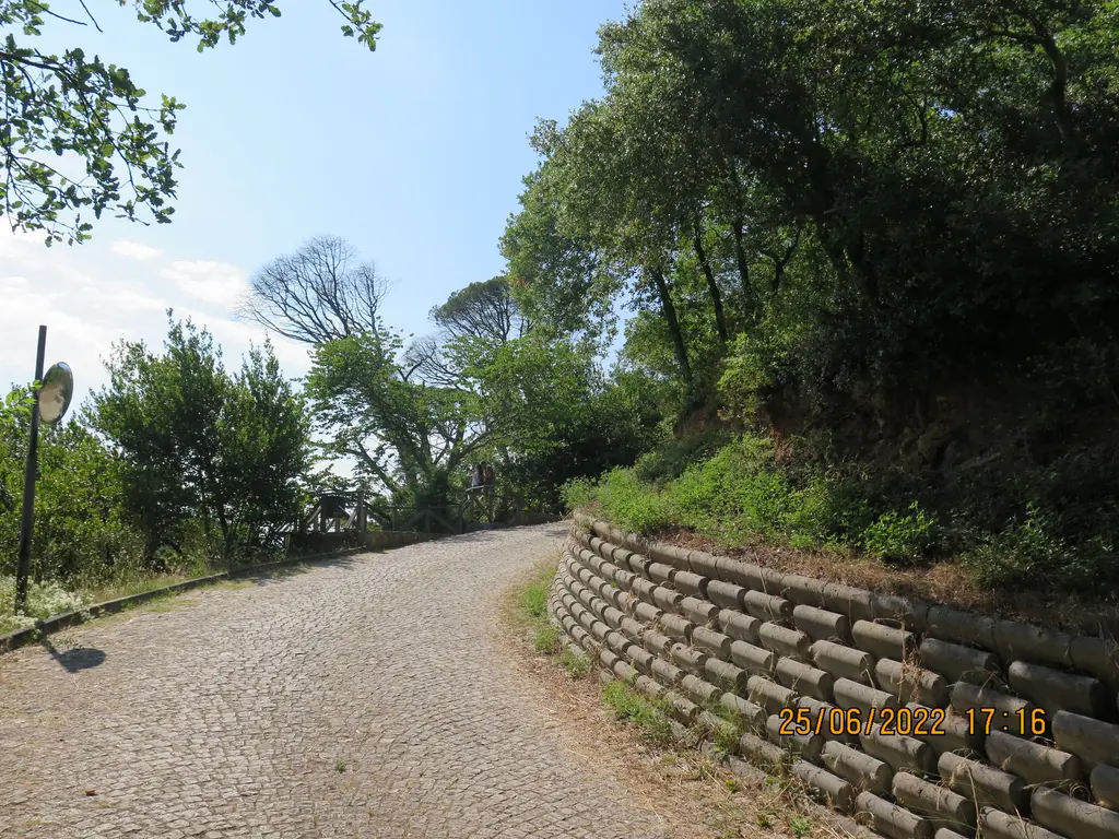 Mihrabat Tabiat Parkı'nda taş istinat duvarının yanından kıvrılan dar asfalt yol, iki yanda ağaçlar ve mavi gökyüzü.