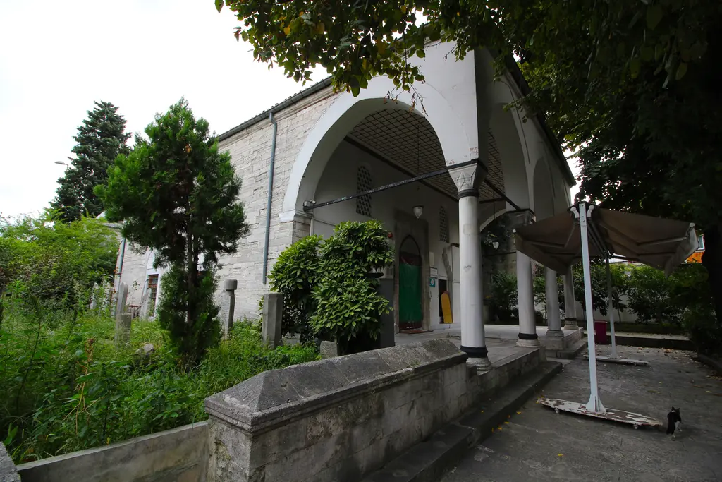 Defterdar Camii'nin bahçesi; kemerli son cemaat yeri, yeşil kapı, çam ve çalılar, önde alçak taş duvar.