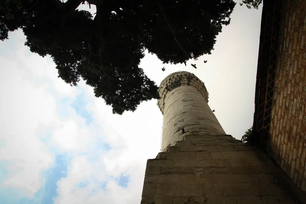 Rum Mehmed Paşa Camii'nin minaresi; aşağıdan bakışla kalın taş gövde, şerefe ve üstte ağaç dalları.
