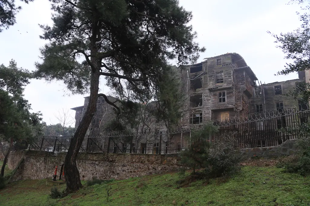 Büyükada Rum Yetimhanesi; eğik çam gövdesinin ardında ahşap kanatlar, taş bahçe duvarı ve çimenlik.