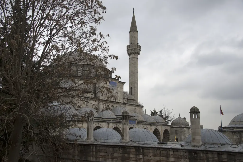 Sokullu Mehmed Paşa Camii'nin dış görünümü; çıplak dalların arkasında yükselen tek minare, sıralanan kurşun kubbeler ve kapalı gri gökyüzü.
