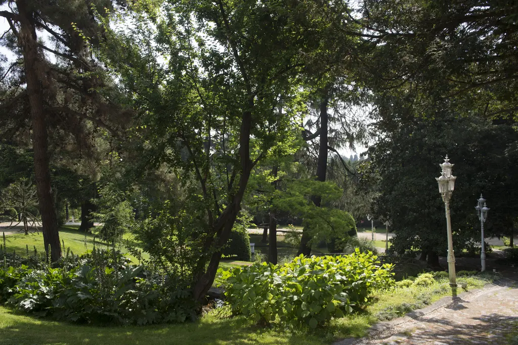 Yıldız Parkı'nda bir patika; yüksek ağaçlar, yol kenarında eski tip sokak lambası ve sık yeşil çalılar.