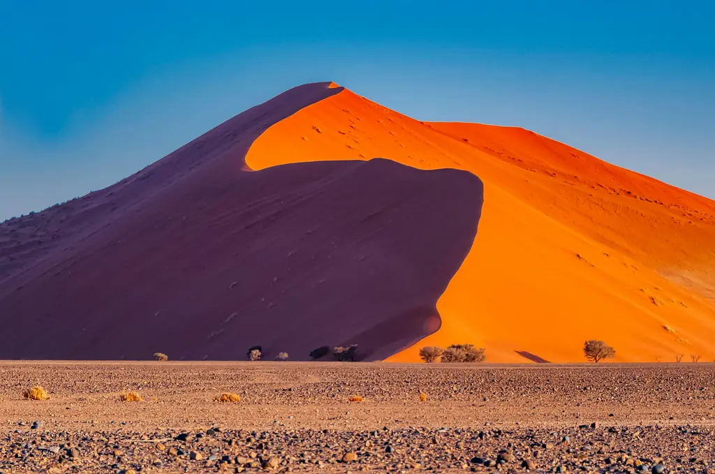 Namibya'da Sossusvlei'nin dev turuncu kum tepesi; keskin sırtıyla ışık ve gölgeye bölünmüş, eteğinde birkaç çöl ağacı.