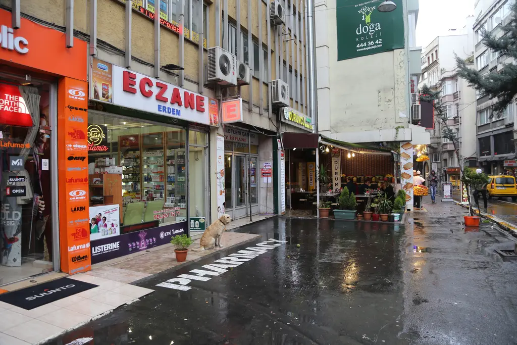 Yağmurlu bir günde Sıraselviler Caddesi; eczane ve dükkân tabelaları, ıslak kaldırım ve caddede ilerleyen insanlar.