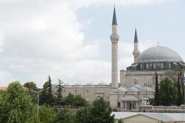 Yavuz Sultan Selim Camii'ne güneybatıdan bakış; basık kurşun kubbe, birer şerefeli iki ince minare, uzun kanat boyunca sıralanan küçük kubbeler ve önde ağaçlar.