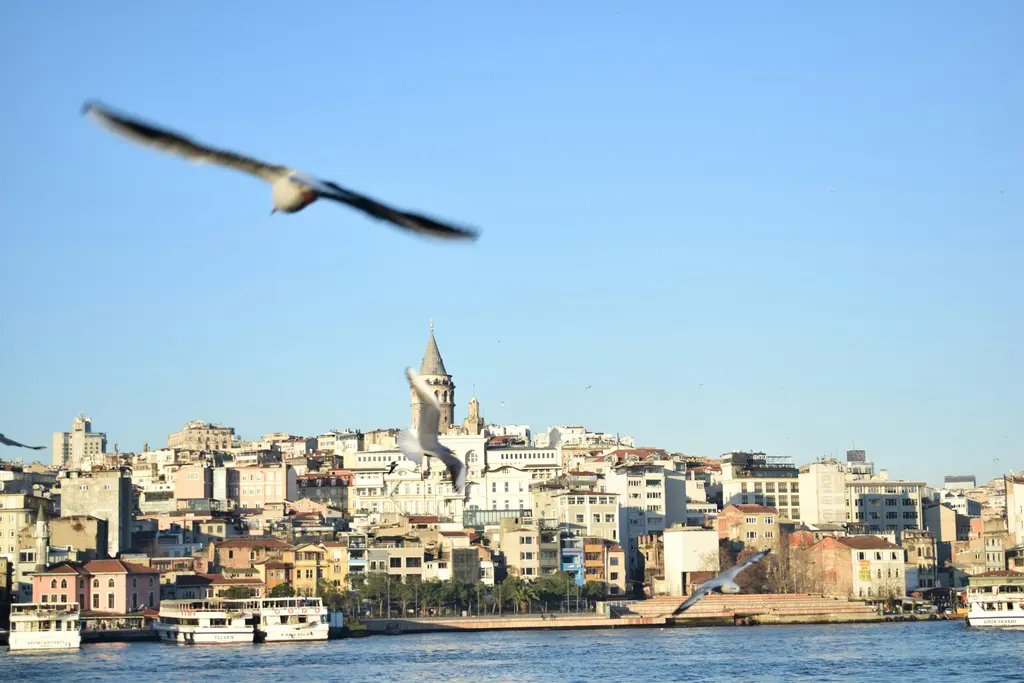 Denizden Galata; önde uçan bir martı, arkada yamaca yayılan açık renkli binalar ve tepede Galata Kulesi.