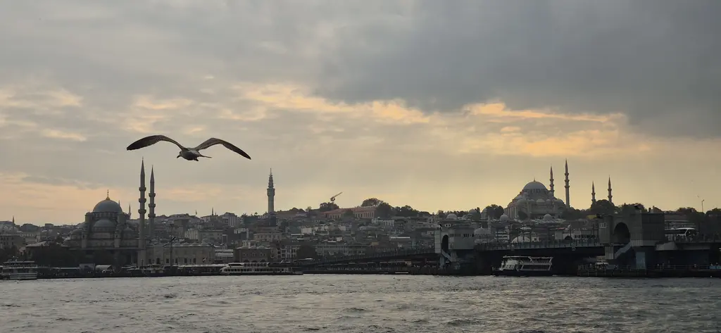 Haliç'ten tarihi yarımada silueti; suyun üstünde uçan martı, kıyı boyunca yapılar ve sırtta kule ile cami kubbeleri.
