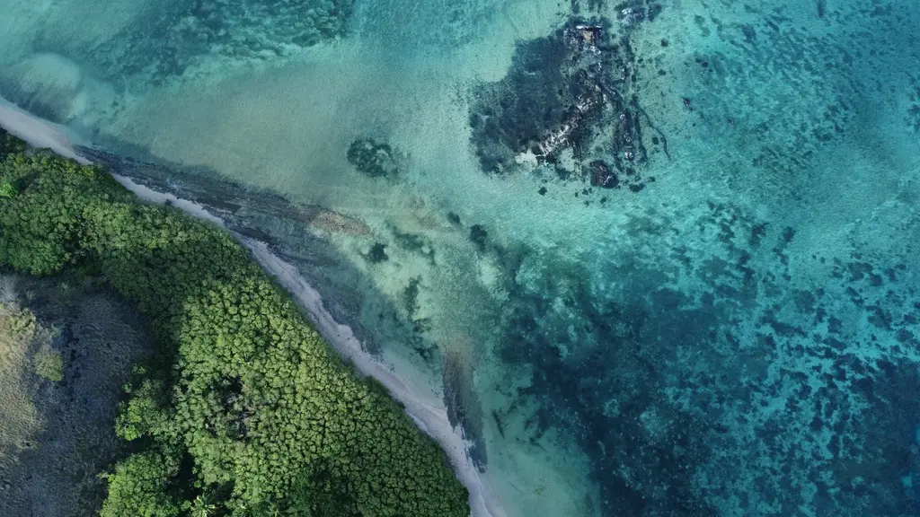 Fiji'nin Yasawa Adaları'nda havadan kıyı şeridi; ormanlık burun, ince beyaz kumsal ve turkuazdan koyu maviye geçen resif suları.
