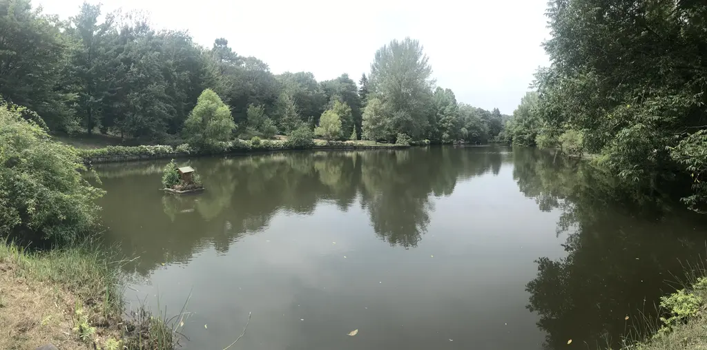 Atatürk Arboretumu'nda güneydeki gölet; geniş su yüzeyi, ağaçların yansıması ve kıyıda ortanca çiçekleri.