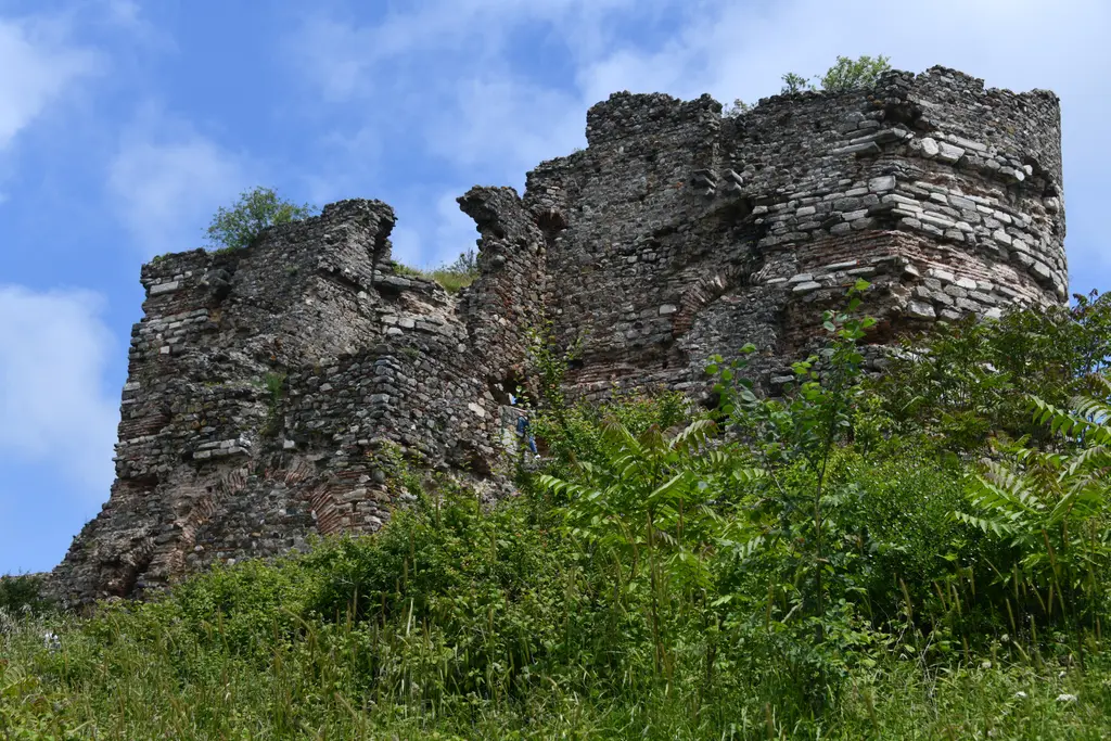 Yoros Kalesi'nin güney duvarı; tepe üstünde uzanan yıkık taş sur, önde yüksek otlar ve mavi gökyüzü.