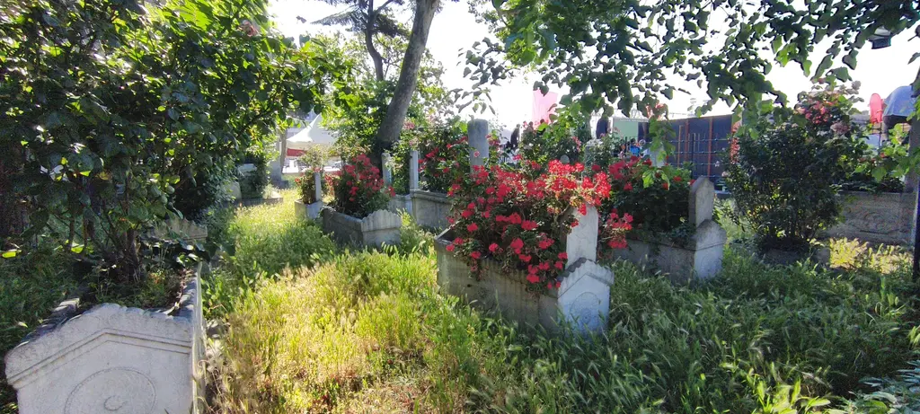 Barbaros Hayreddin Paşa Türbesi'nin haziresi; çiçekli çalılar, yeşillik arasında mezar taşları ve arkada binalar.