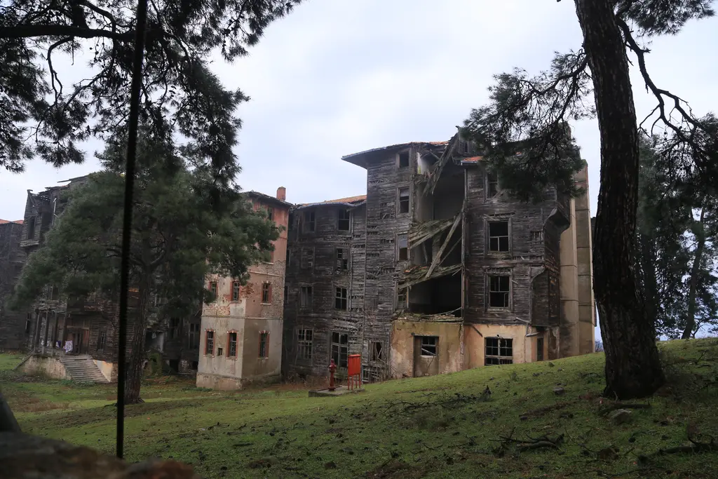 Büyükada Rum Yetimhanesi; çam ağaçlarının arasında pembe sıvalı ve ahşap kanatlar, önde çimenlik.