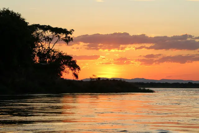 Zambiya'da Zambezi Nehri üzerinde gün batımı; turuncu gökyüzü, silüet halindeki ağaçlar ve suya yansıyan altın ışık.
