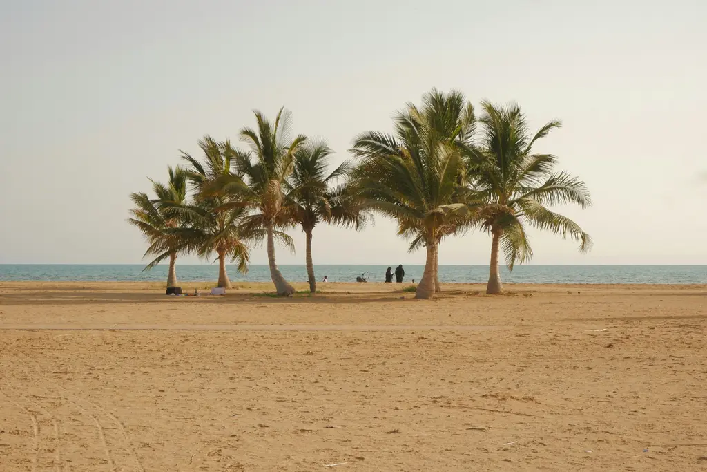 Yanbu'da Kızıldeniz sahili; kumun üzerinde bir sıra hurma ağacı, arkalarında açık mavi deniz ve kıyıda dolaşan birkaç kişi.