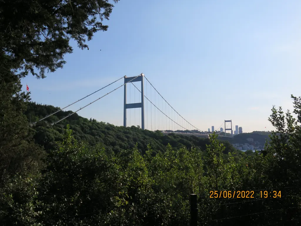 Mihrabat Tabiat Parkı'ndan Fatih Sultan Mehmet Köprüsü; önde koyu yeşil ağaç tepeleri, ortada köprünün asma halatları ve arkada açık gökyüzü.